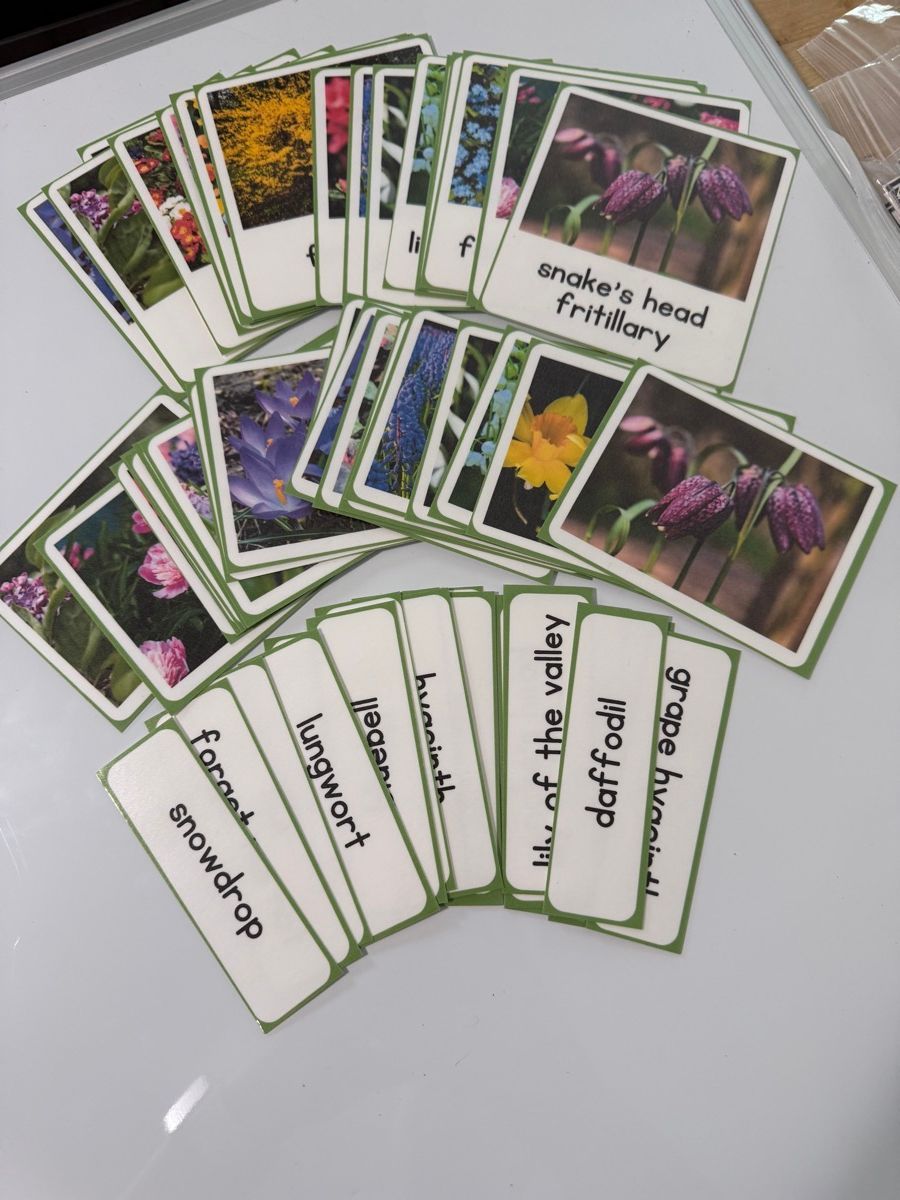 Spring Flower Matching Work photo 4