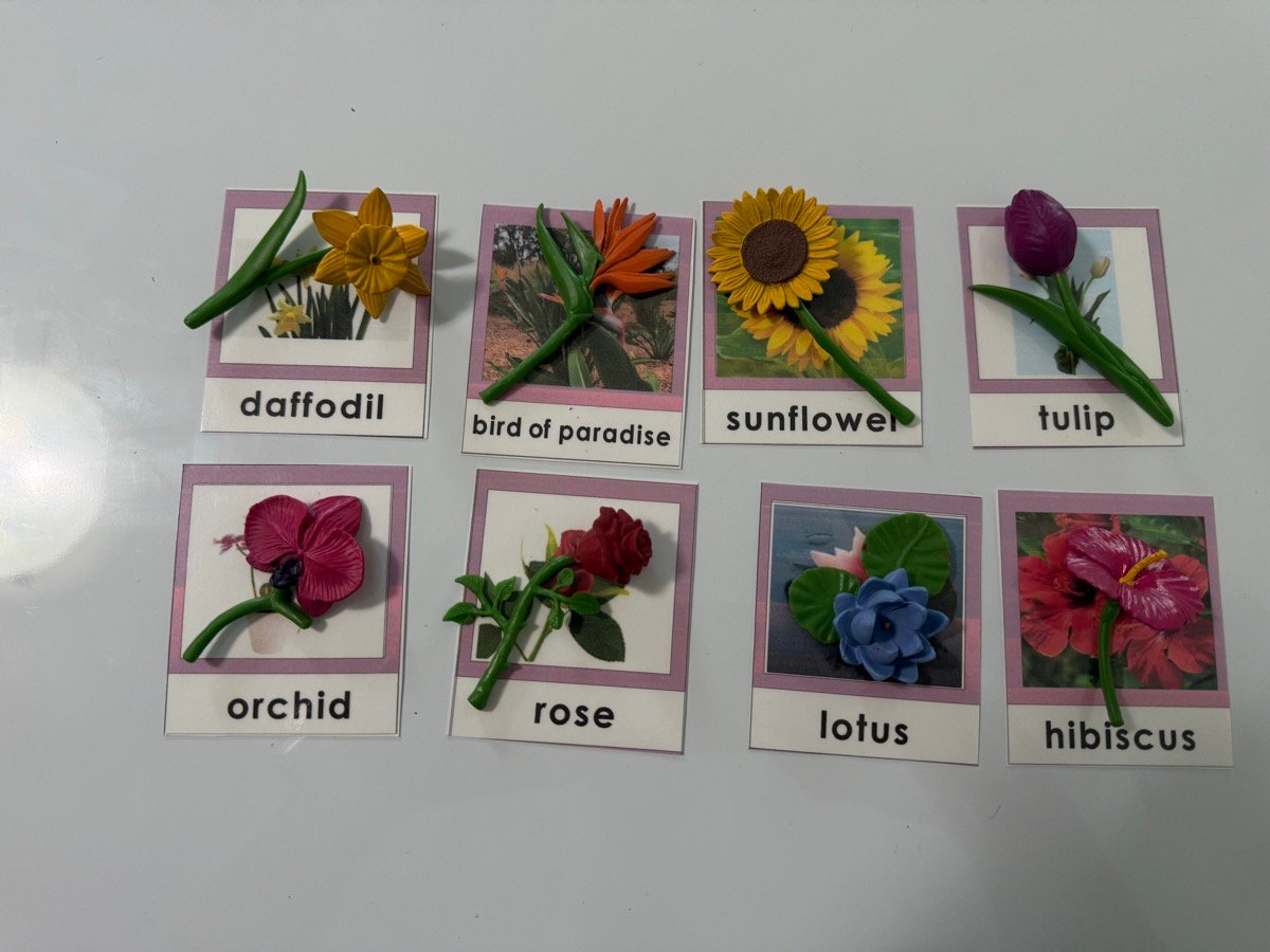 Spring Flower Matching Work