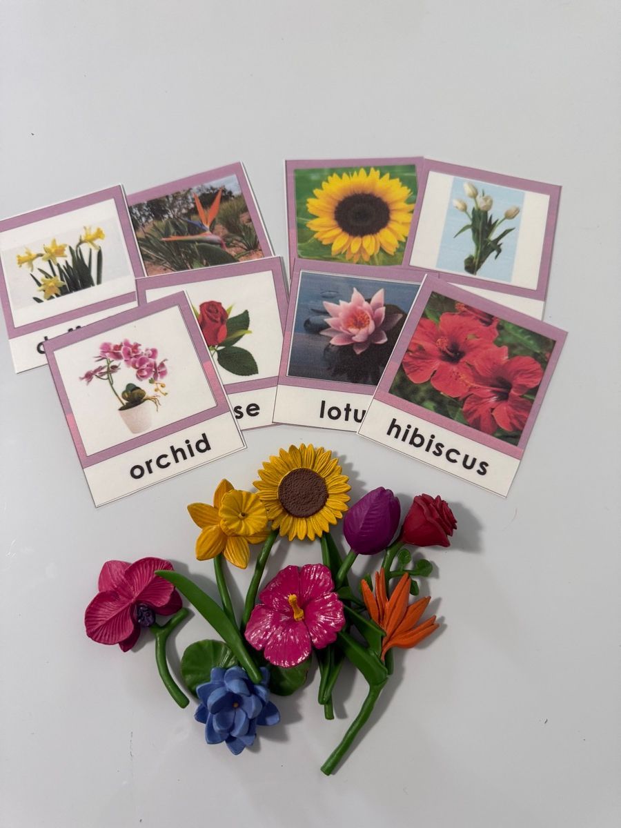 Spring Flower Matching Work photo 3