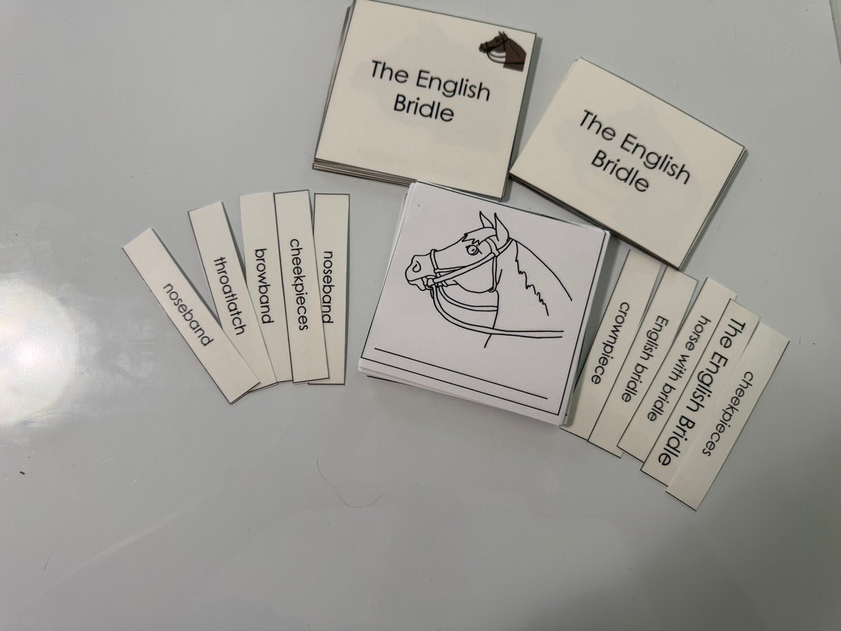 English Bridle Nomenclature Cards photo 2