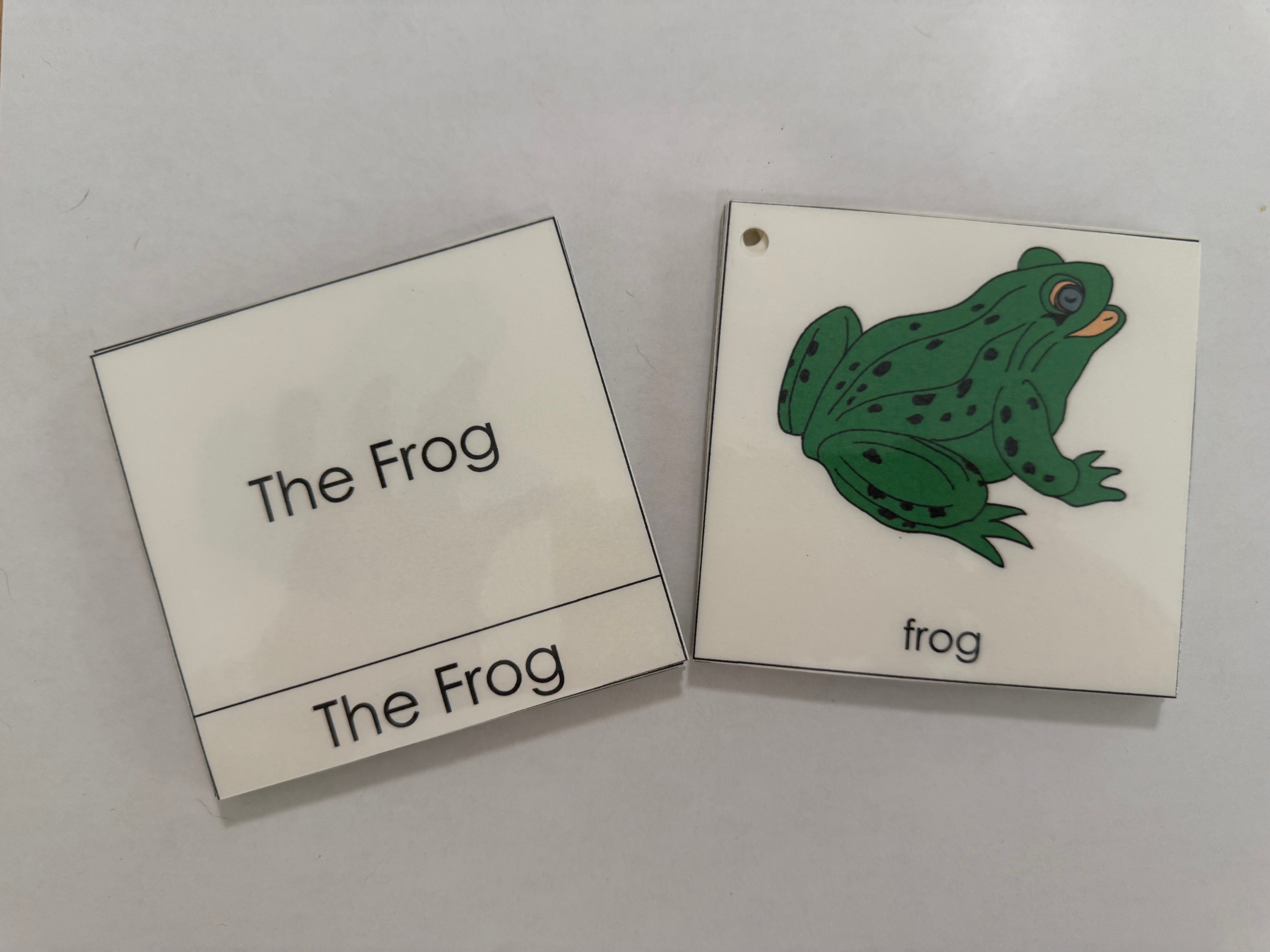 Animal Nomenclature Cards