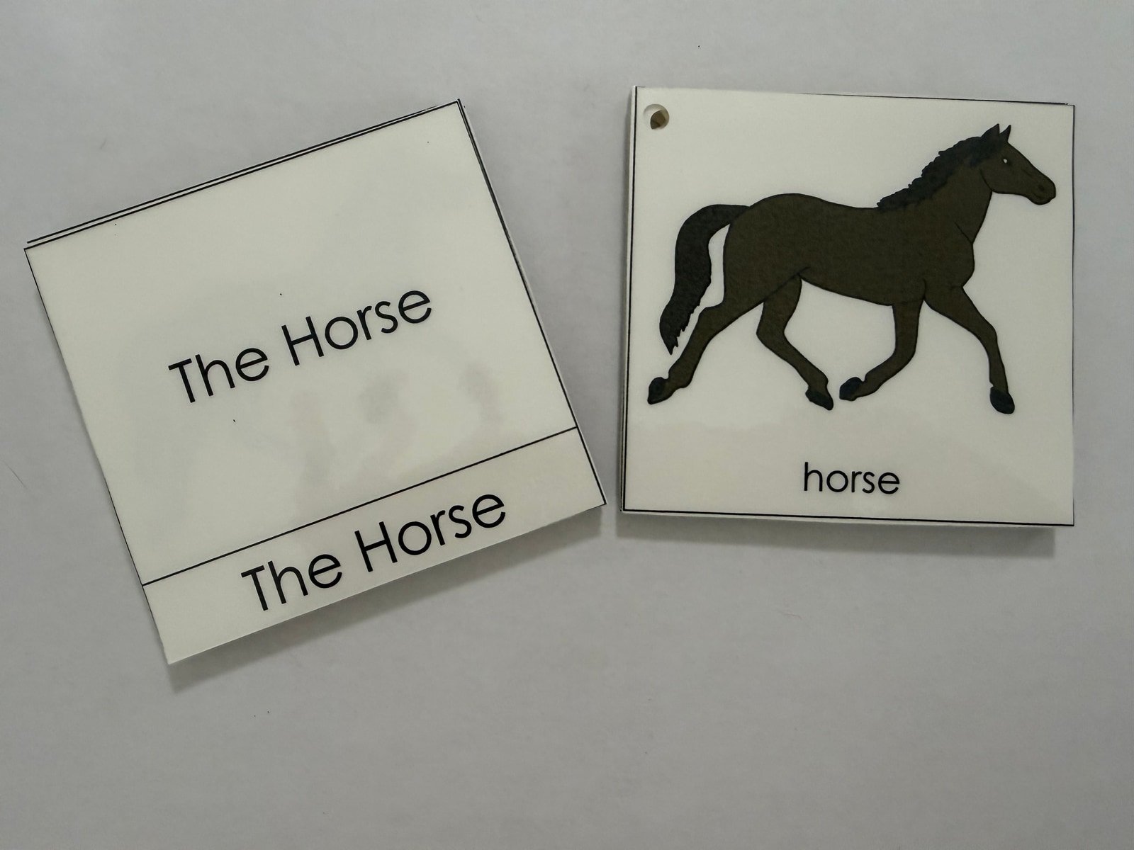 Horse Nomenclature Cards