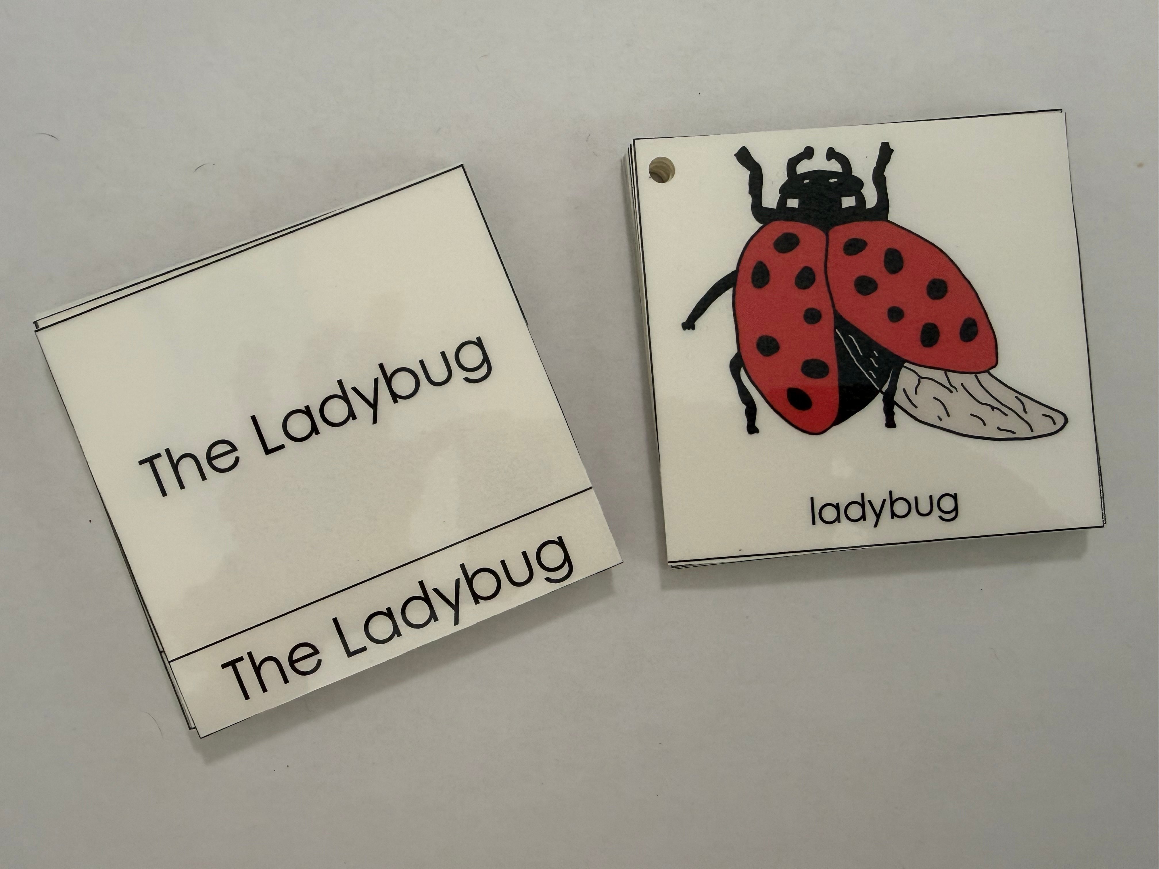 Animal Nomenclature Cards photo 2