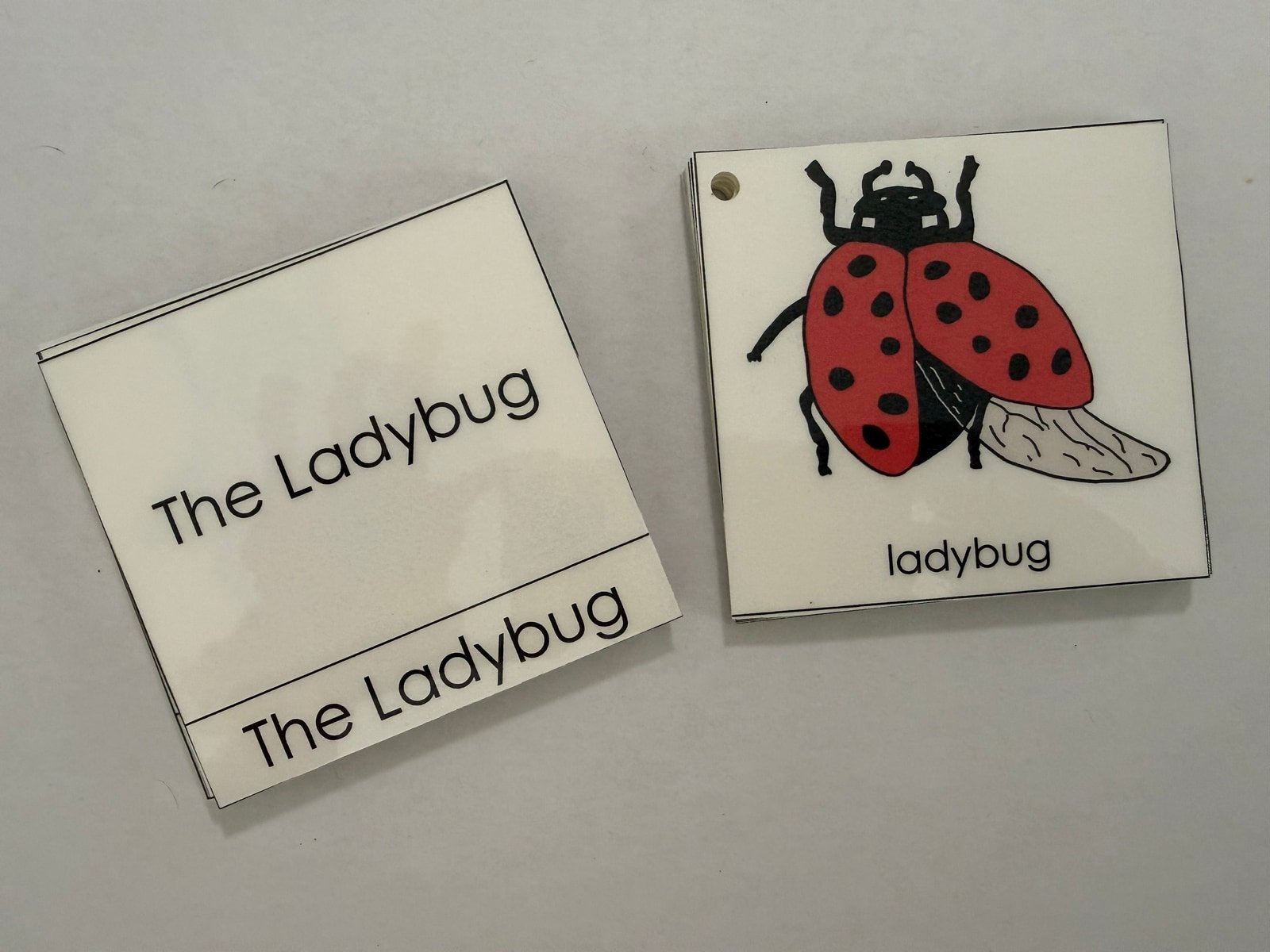 Animal Nomenclature Cards photo 2
