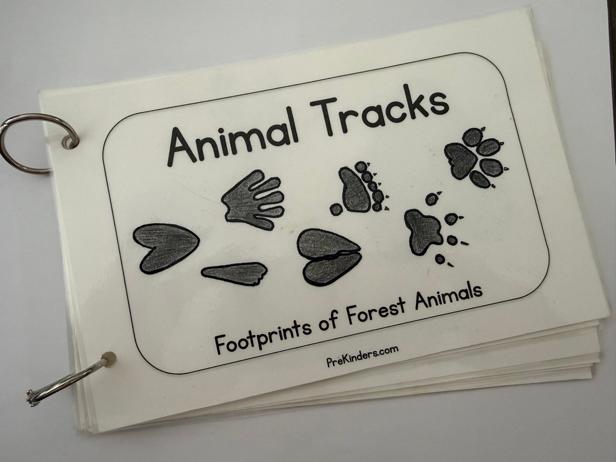Animal Tracks Booklet