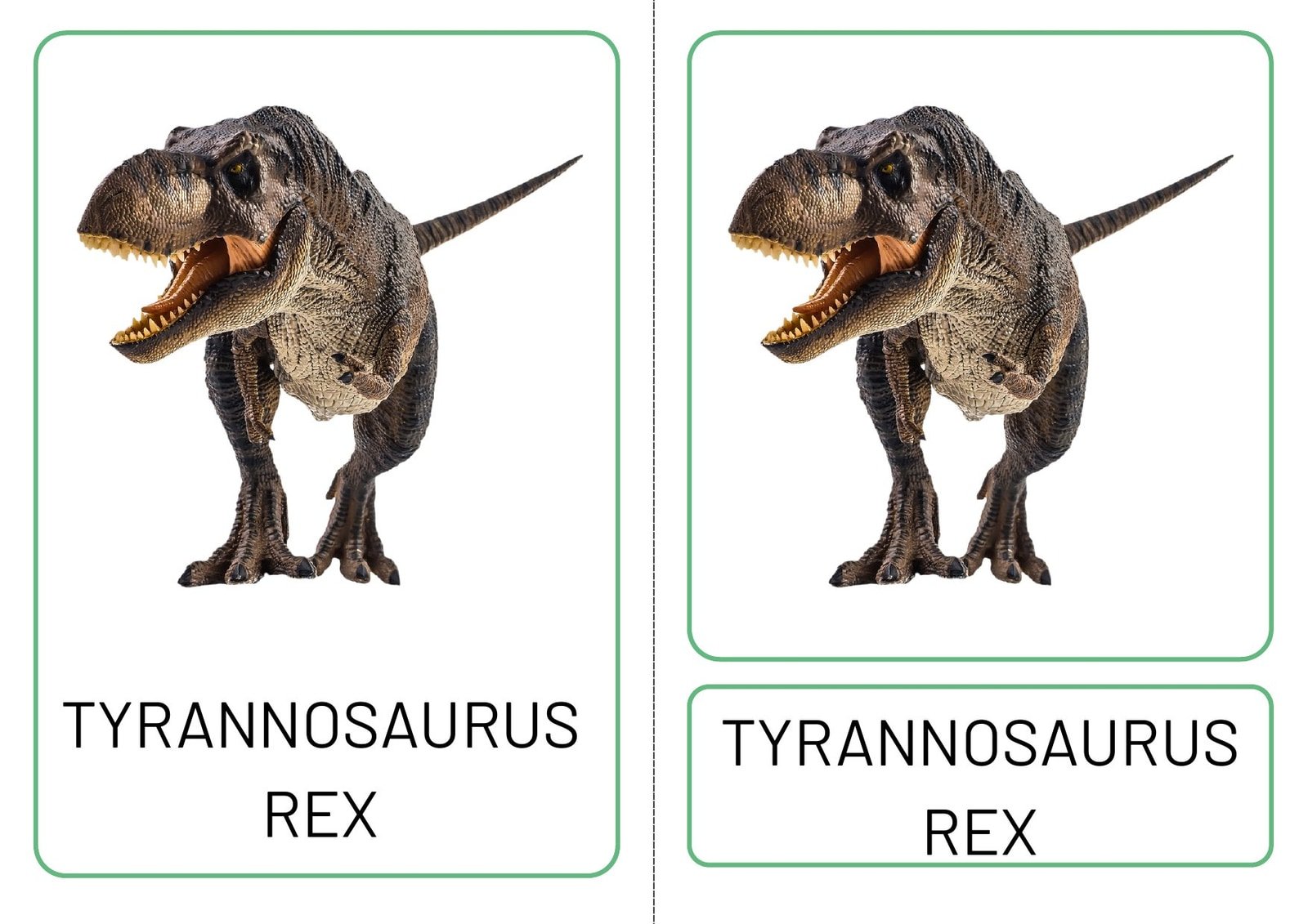 Dinosaur Three Part Matching Cards