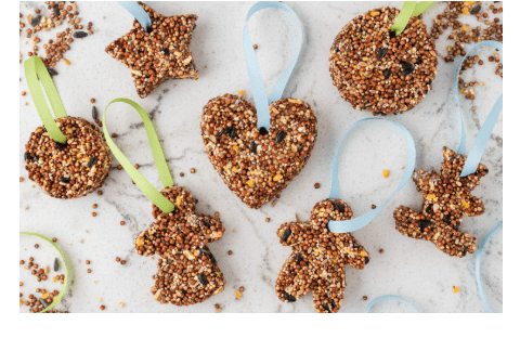 DIY Bird Feeder Craft for Kids (Ages 3–6)
