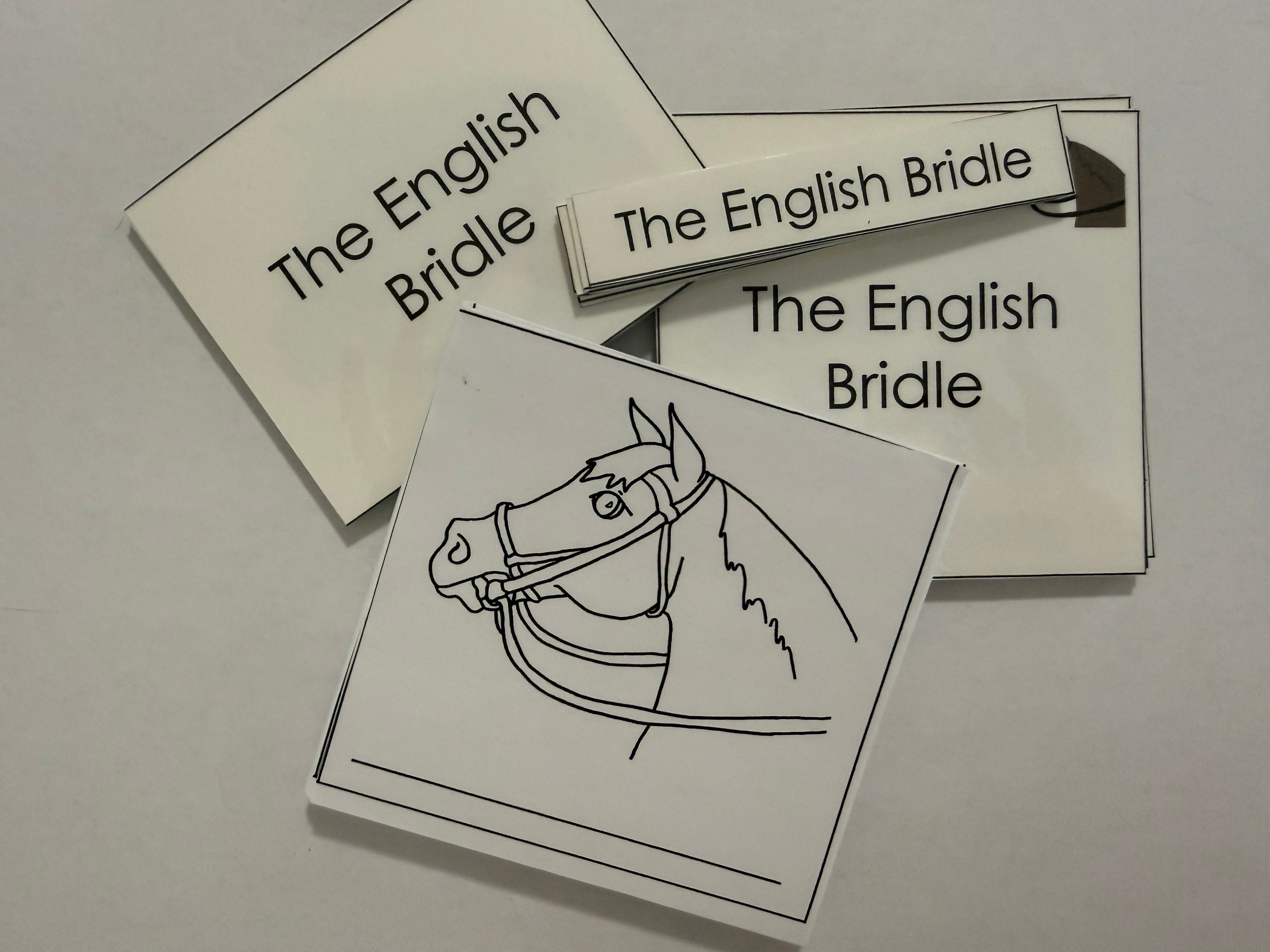 English Bridle Nomenclature Cards