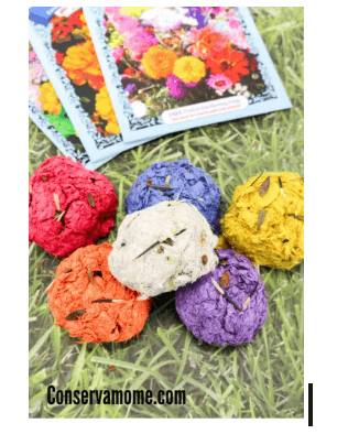 Garden Seed Bombs: A Spring Craft for Little Hands