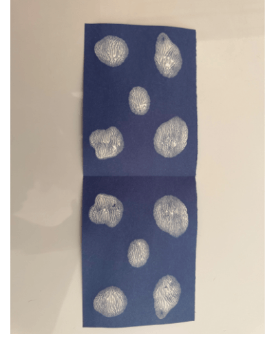 It Looks Like Spilled Milk: A Paint-Folding Art Activity