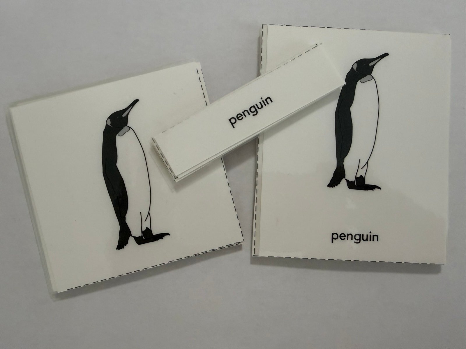 Penguin Nomenclature Cards